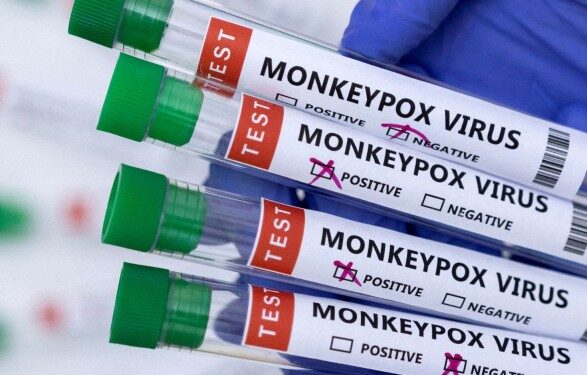 ВОЗ заявила о 550 подтвержденных случаях заражения оспой обезьян