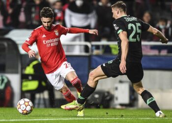 Лига чемпионов. «Динамо» — «Бенфика», 17 августа: статистика встреч (17 августа 2022 г.) — Новости футбола