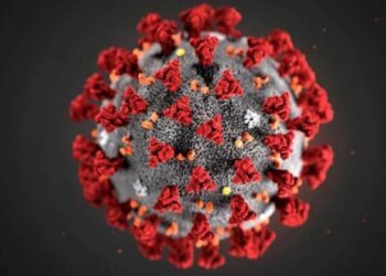 В ВОЗ назвали страну, препятствующую изучению происхождения COVID-19