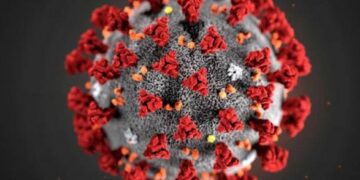 В ВОЗ назвали страну, препятствующую изучению происхождения COVID-19