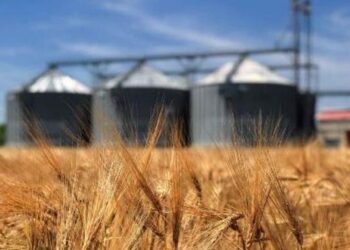 Експорт товарів аграрної та харчової промисловості з України в ЄС налічує $3,6 млрд