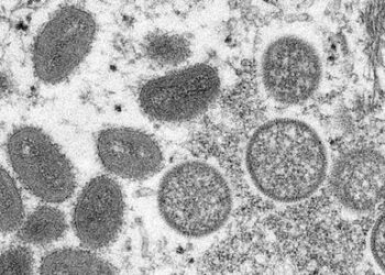 ВОЗ предупреждает, что случаи оспы обезьян могут быть «вершиной айсберга»