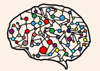 Ученые составили карту сети мозга, связанную с зависимостью