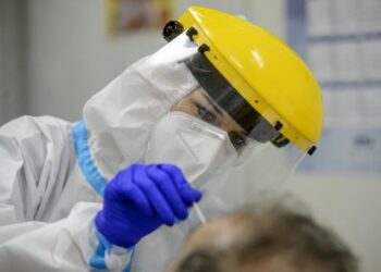 В Норвегии и Венгрии подтвердили первые случаи заражения оспой обезьян