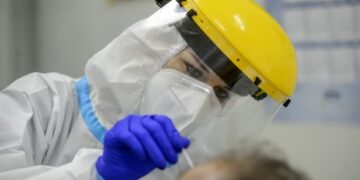 В Норвегии и Венгрии подтвердили первые случаи заражения оспой обезьян