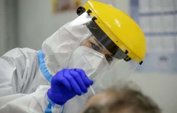 В Норвегии и Венгрии подтвердили первые случаи заражения оспой обезьян