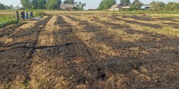 У селі Княже Червоноградського району на присадибній ділянці виявили обгоріле тіло – Новини Львова та області
