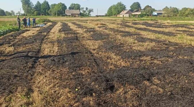 У селі Княже Червоноградського району на присадибній ділянці виявили обгоріле тіло – Новини Львова та області
