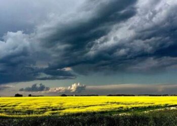 Погода на 3 августа: дожди с грозами накроют большинство областей