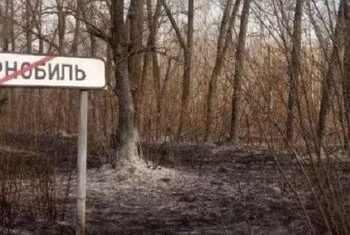 В зоне отчуждения ЧАЭС из-за боевых действий горит более 10 тысяч гектаров лесов