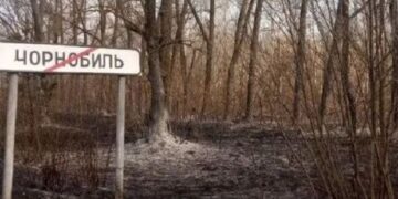В зоне отчуждения ЧАЭС из-за боевых действий горит более 10 тысяч гектаров лесов