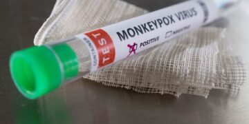 Оспа обезьян: в Нидерландах подтвердили шесть случаев инфицирования