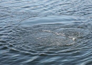 Альтернативне водопостачання: в Одесі проводять аналіз води з місцевих водоймищ | Надзвичайні події Одесса та область