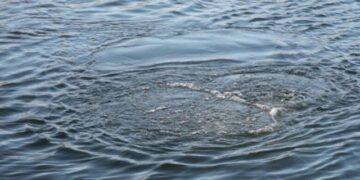 Альтернативне водопостачання: в Одесі проводять аналіз води з місцевих водоймищ | Надзвичайні події Одесса та область