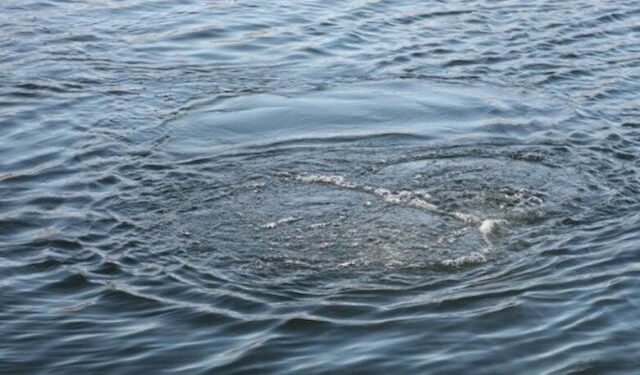 Альтернативне водопостачання: в Одесі проводять аналіз води з місцевих водоймищ | Надзвичайні події Одесса та область