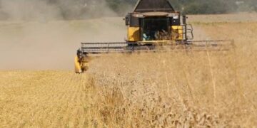 У Червоноградському районі триває збір озимої пшениці – Новини Львова та області