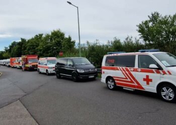 Гуманітарний конвой з 14 автомобілів – Сокальщина отримала допомогу з Німеччини – Новини Львова та області