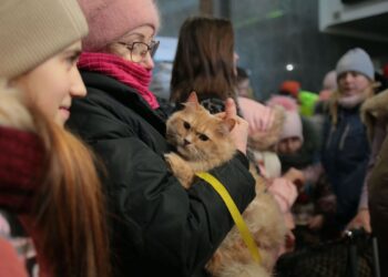 На Львівщині була загроза ракетного удару авіації зі східного напрямку та з акваторії Чорного моря – Новини Львова та області