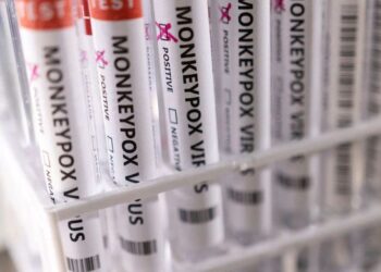 США увеличат запасы вакцин против обезьяньей оспы