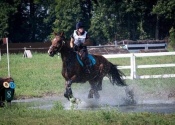 Черкащани стали призерами чемпіонату України з кінного спорту