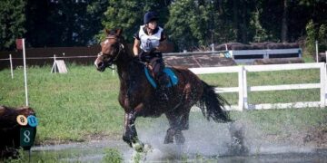 Черкащани стали призерами чемпіонату України з кінного спорту