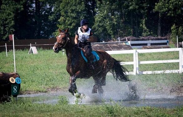 Черкащани стали призерами чемпіонату України з кінного спорту