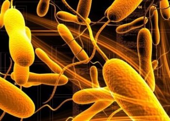 В Мариуполе уже могут быть десятки случаев холеры – городской голова