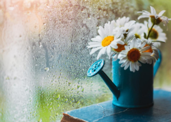 Готуйте парасолі: найближчими днями в Україні дощитиме — Укргідрометцентр