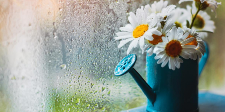 Готуйте парасолі: найближчими днями в Україні дощитиме — Укргідрометцентр