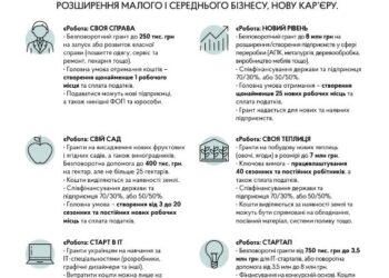 Грантові програми для започаткування бізнесу, розвитку підприємництва та навчання