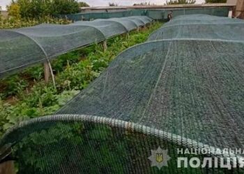 На Одещині поліцейські викрили досвідченого наркоаграрія | Надзвичайні події Одесса та область