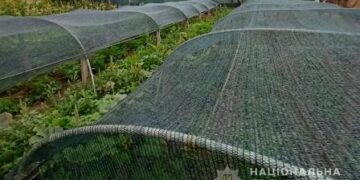 На Одещині поліцейські викрили досвідченого наркоаграрія | Надзвичайні події Одесса та область