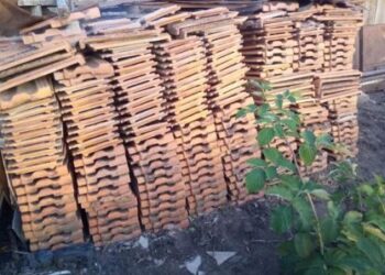 На Одещині шукають старовинну червону черепицю | Надзвичайні події Одесса та область