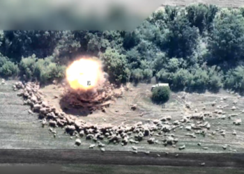 На Запоріжжі ЗСУ знищили російський «аналоговнет» – РЛС «Зоопарк-1»