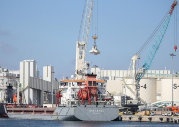 Найбільше українського зерна купує Туреччина