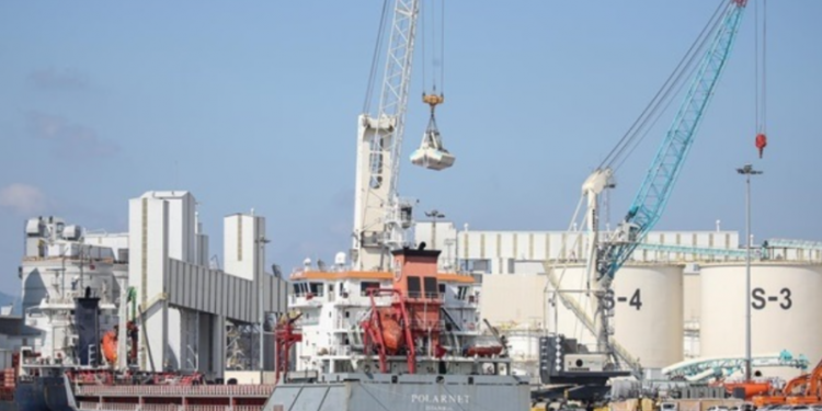 Найбільше українського зерна купує Туреччина