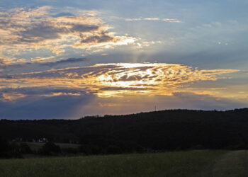 Неприятности, удары судьбы и невероятное везение. Каким будет август для всех знаков зодиака |