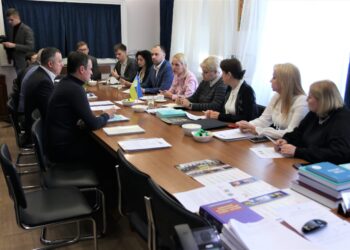 Противодействие домашнему насилию: эксперты обсудили создание рабочей группы — Суспільство Одеси