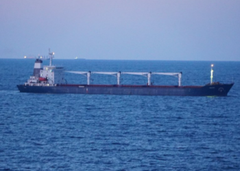 У Туреччину прибув перший корабель з українським продовольством