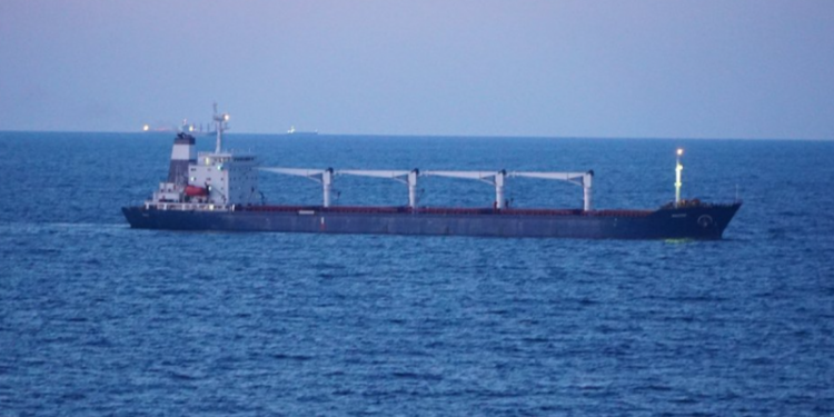 У Туреччину прибув перший корабель з українським продовольством