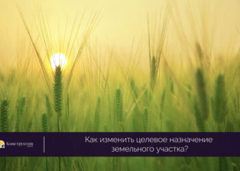 Украинцам рассказали, как изменить целевое назначение земельного участка — Суспільство Одеси