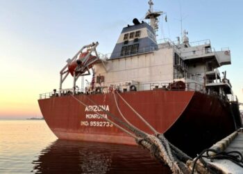 Усі порти «Великої Одеси» залучені до експорту агропродукції — Новини Одеської області