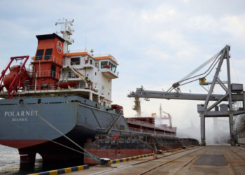 В портах Одесской области формируется зерновой караван