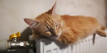 В Україні ввели мораторій на підвищення комунальних тарифів під час війни | Одеський Монітор