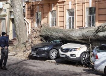 Возмещение убытков после урагана: одесситка выиграла суд у исполнительного комитета горсовета — Суспільство Одеси
