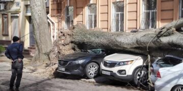 Возмещение убытков после урагана: одесситка выиграла суд у исполнительного комитета горсовета — Суспільство Одеси