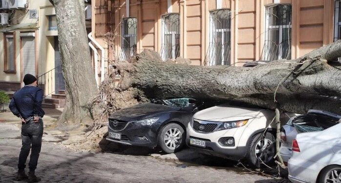 Возмещение убытков после урагана: одесситка выиграла суд у исполнительного комитета горсовета — Суспільство Одеси