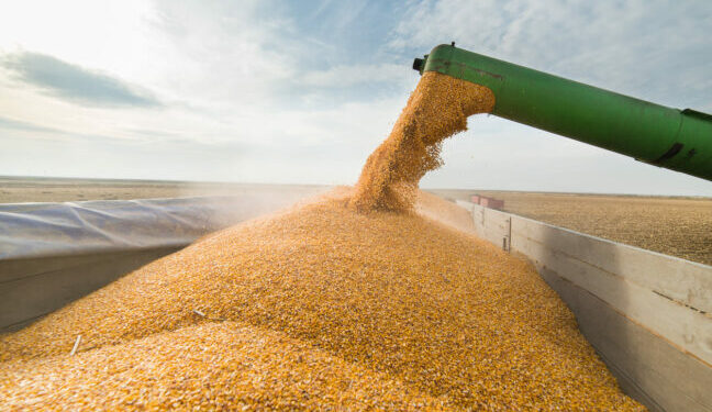 З портів Одещини вийшов черговий караван з продовольством — Новини Одеської області