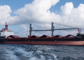 За время действия «зернового коридора» из украинских портов уже вышли 16 судов