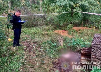 У Мощуні знайдено останки розстріляної рашистами людини, — поліція  | Кримінальні новини